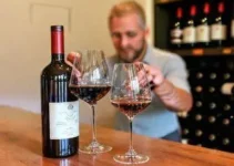 como armazenar vinho