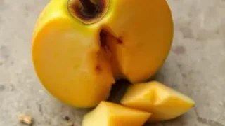 frutas mofadas