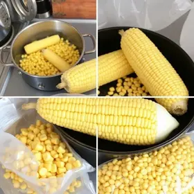 como cozinhar milho verde